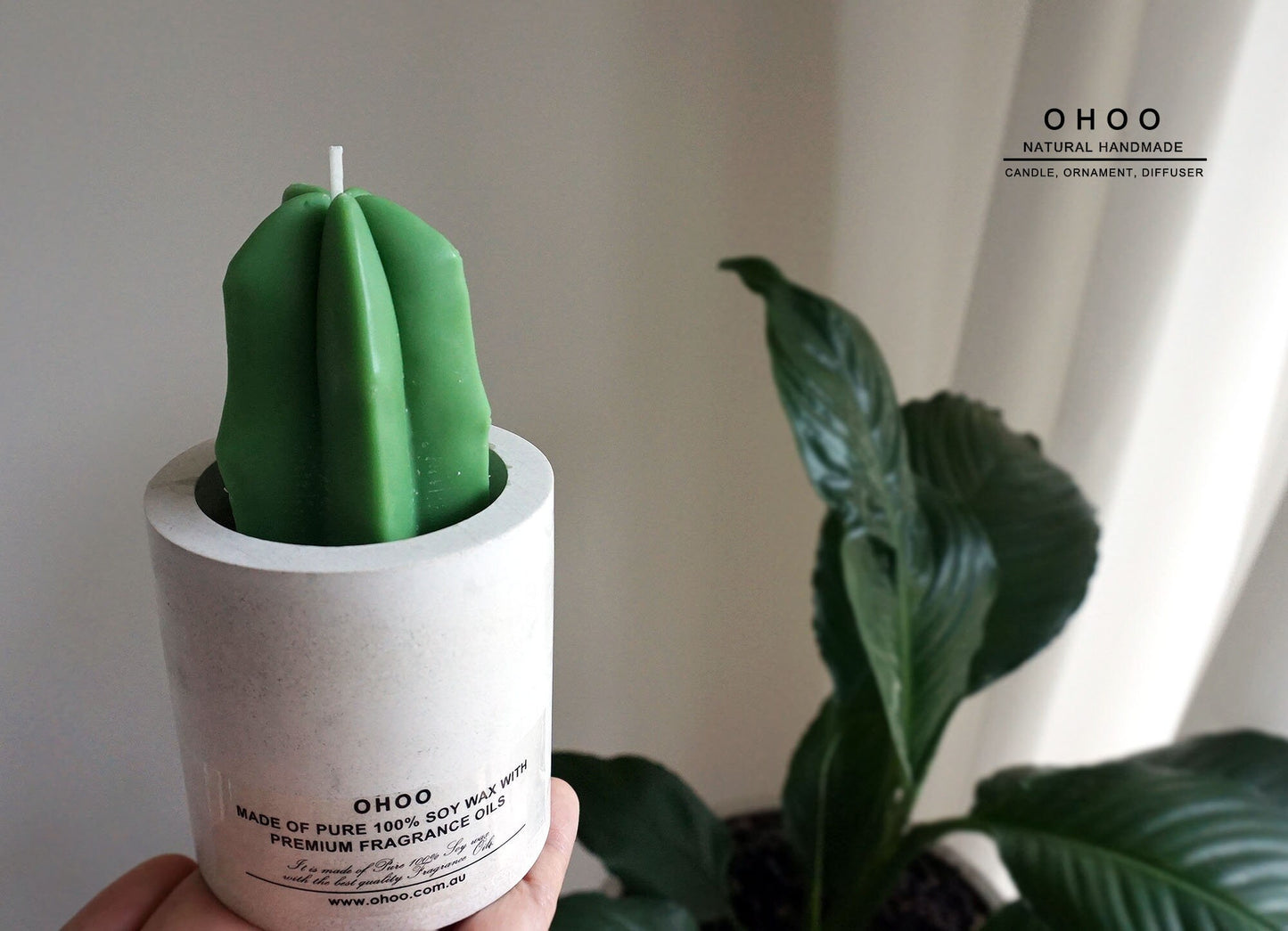 Cactus Candle