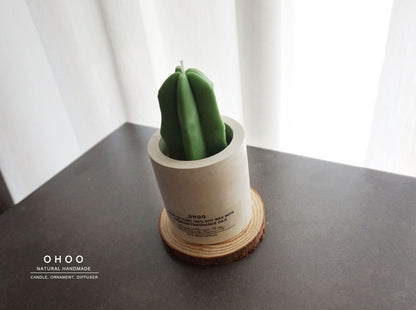 Cactus Candle